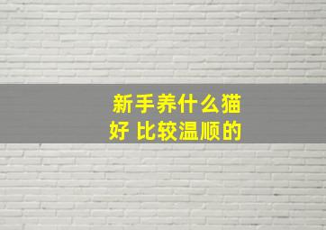 新手养什么猫好 比较温顺的